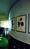 Туры в отель Hotel Le Tre Vaselle Туры в отель Hotel Le Tre Vaselle