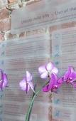 Туры в отель Villa Fontana Relais Suite & SPA Туры в отель Villa Fontana Relais Suite & SPA