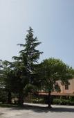Туры в отель Hotel Ristorante La Mimosa Туры в отель Hotel Ristorante La Mimosa