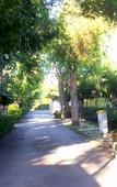 Туры в отель Villaggio Verde Cupra Туры в отель Villaggio Verde Cupra
