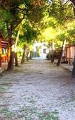 Туры в отель Villaggio Verde Cupra Туры в отель Villaggio Verde Cupra