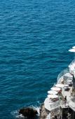Туры в отель Miramalfi Туры в отель Miramalfi