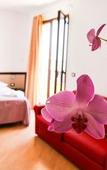 Туры в отель Albergo Perseo Туры в отель Albergo Perseo