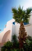 Туры в отель Cala La Luna Resort Туры в отель Cala La Luna Resort