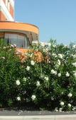 Туры в отель Hotel Toscana Туры в отель Hotel Toscana