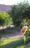 Туры в отель Hotel Cala Mirto Туры в отель Hotel Cala Mirto
