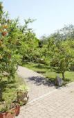 Туры в отель Hotel Cala Mirto Туры в отель Hotel Cala Mirto