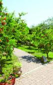Туры в отель Hotel Cala Mirto Туры в отель Hotel Cala Mirto