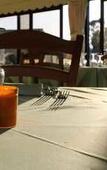 Туры в отель Hotel Cala Mirto Туры в отель Hotel Cala Mirto