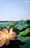 Туры в отель B&B HOTEL Mantova Cristallo Туры в отель B&B HOTEL Mantova Cristallo