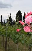 Туры в отель Borgo San Giusto Туры в отель Borgo San Giusto