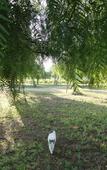 Туры в отель Lilybeo Village - Camping & Residence Туры в отель Lilybeo Village - Camping & Residence