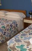 Туры в отель Albergo Papillon Туры в отель Albergo Papillon