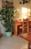 Туры в отель Residence Villa Patrizia Туры в отель Residence Villa Patrizia