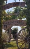 Туры в отель Agriturismo Il Megalite Туры в отель Agriturismo Il Megalite