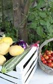 Туры в отель Relais Paradise Villa Janto' Туры в отель Relais Paradise Villa Janto'