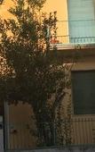 Туры в отель ALIANTE TURIST HOUSE Туры в отель ALIANTE TURIST HOUSE