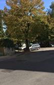 Туры в отель ALIANTE TURIST HOUSE Туры в отель ALIANTE TURIST HOUSE