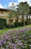 Туры в отель B&B Giucalem - La Casa Negli Orti Туры в отель B&B Giucalem - La Casa Negli Orti