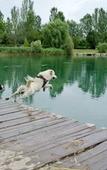Туры в отель Agriturismo Due Laghi Туры в отель Agriturismo Due Laghi