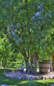 Туры в отель Agriturismo Due Laghi Туры в отель Agriturismo Due Laghi