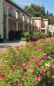 Туры в отель Residence Fiesole Туры в отель Residence Fiesole