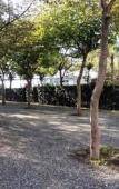 Туры в отель Camping La Focetta Sicula Туры в отель Camping La Focetta Sicula