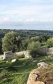Туры в отель Relais Parco Cavalonga Туры в отель Relais Parco Cavalonga