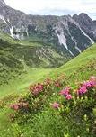 Туры в отель Val di Luce Spa Resort Туры в отель Val di Luce Spa Resort