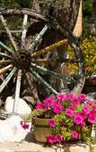 Туры в отель Villa Carlo Resort Туры в отель Villa Carlo Resort