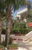 Туры в отель Hotel Corallo Туры в отель Hotel Corallo