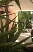Туры в отель Hotel Corallo Туры в отель Hotel Corallo
