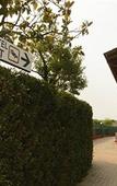 Туры в отель Hotel Residence S Туры в отель Hotel Residence S