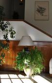 Туры в отель Hotel Santorotto Туры в отель Hotel Santorotto
