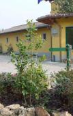 Туры в отель Adda Hotel Туры в отель Adda Hotel