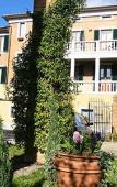 Туры в отель Soggiorno Lo Stellino Туры в отель Soggiorno Lo Stellino