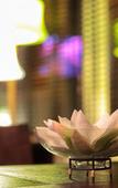 Туры в отель Hotel Verdemilia Туры в отель Hotel Verdemilia