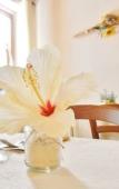Туры в отель Hotel VelaSole Туры в отель Hotel VelaSole