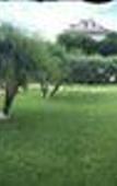 Туры в отель Il Girasole Capo d'Orlando Туры в отель Il Girasole Capo d'Orlando