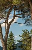 Туры в отель Hotel Villa Montegranelli Туры в отель Hotel Villa Montegranelli