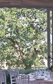 Туры в отель Hotel Villa Montegranelli Туры в отель Hotel Villa Montegranelli