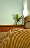 Туры в отель Hotel San Giovanni Туры в отель Hotel San Giovanni