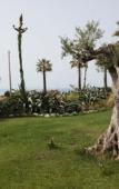 Туры в отель Case Vacanze Bellavista Туры в отель Case Vacanze Bellavista