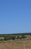 Туры в отель Agriturismo I Pozzetti Туры в отель Agriturismo I Pozzetti