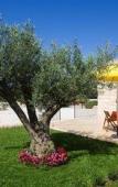 Туры в отель Borgo Monachella Туры в отель Borgo Monachella