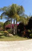 Туры в отель Vista Egadi B&B Туры в отель Vista Egadi B&B