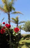 Туры в отель Vista Egadi B&B Туры в отель Vista Egadi B&B