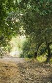 Туры в отель Hotel Sinuessa Terme Туры в отель Hotel Sinuessa Terme