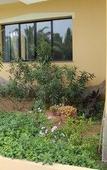 Туры в отель Hotel Cala dei Pini Туры в отель Hotel Cala dei Pini