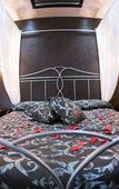 Туры в отель Bellavista Туры в отель Bellavista